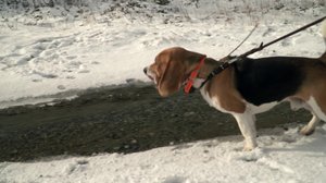 Luontoretkellä: 19.05.2019 06.00