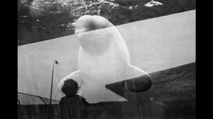 Jean Gaumy - Virikkeet: 19.05.2019 16.43