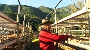 Minun syyskuun yhdestoista: 21.05.2019 00.10