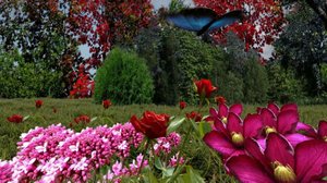 Iloa puutarhasta: 24.05.2019 09.00