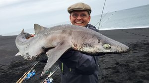 Kaksoset kalassa: 22.05.2019 06.00