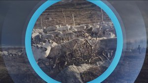 Oddasat: 24.05.2019 22.00