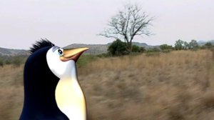 Savanni: 29.05.2019 07.10