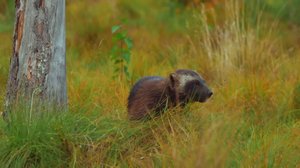 Kaverille kanssa!: 29.05.2019 18.00