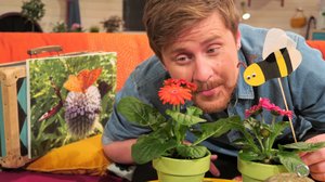 BUU-klubben: 31.05.2019 18.00