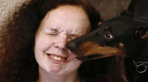 Hurja vahtikoira: 01.06.2019 06.00