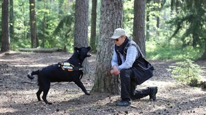 Etsintätehtäviin kaivataan lisää pelastuskoiria: 29.05.2019 11.33