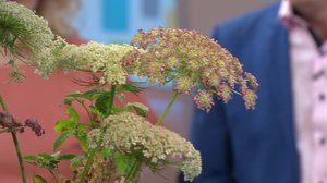 Ylen Aamu-tv: Tänään otsikoissa: 29.05.2019 15.10