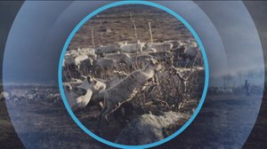 Oddasat: 29.05.2019 22.00