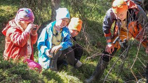 Majava: 01.06.2019 10.00