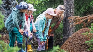 Muurahaiset: 01.06.2019 10.00