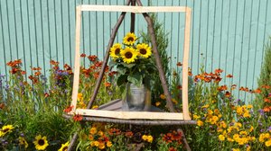 Rakkaudesta puutarhaan: 03.06.2019 06.00