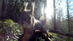 Minne se lähti: 08.06.2019 10.00