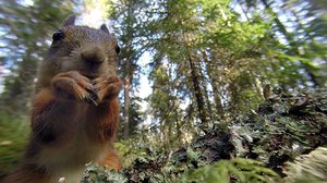 Kaikki aistit valppaina: 08.06.2019 10.00