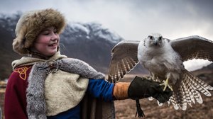 Tunturihaukka (S): 10.06.2019 18.00