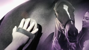 Ratsastuksen maailma: 08.06.2019 13.00