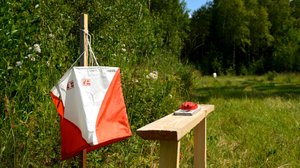 Världscupen i orientering, damernas medeldistans (svenskt referat): 08.06.2019 13.00