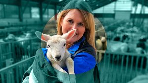 Kulutustavaratarkastajat: 10.06.2019 06.00