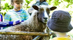 Helsinki-päivä Herttoniemen kartanolla: 12.06.2019 13.11