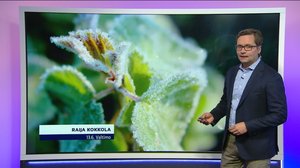 Sääennuste klo 7.00: 13.06.2019 07.31