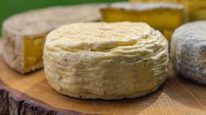 Viikinkikilpi, kirja ja juusto: 17.06.2019 06.00