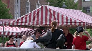 Torin linnut: 17.06.2019 10.00