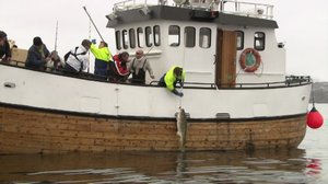 Luontoretkellä: Kalastajien paratiisi: 21.06.2019 14.00