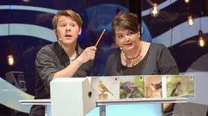 Nuottien matkassa: 03.07.2019 08.45