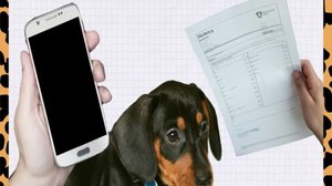 Asioita, jotka jännittävät (S) (S): 01.07.2019 00.01