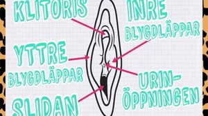 Asioita, jotka jännittävät (S) (S): 01.07.2019 00.01