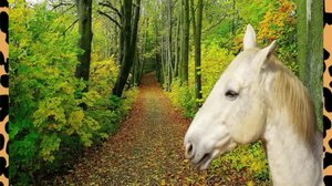 Asioita, jotka jännittävät (S) (S): 01.07.2019 00.01