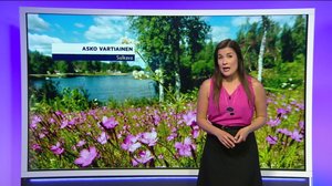 Sääennuste klo 7.00: 01.07.2019 07.46