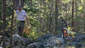 Milja ja käpyretki (S): 05.07.2019 18.00