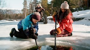 Kolmikko ja Odinin kulta (7) (7): 07.07.2019 08.05