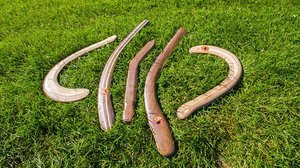 Miekka, villa, bumerangi: 15.07.2019 06.00