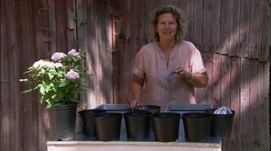 Puutarhakisa: 18.07.2019 18.30