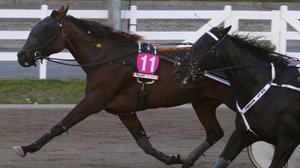 St Michel -ajot: 21.07.2019 20.08