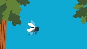 Kärpänen (S): 24.07.2019 18.19