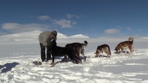 Jens erämaaseikkailulla: 29.07.2019 06.00