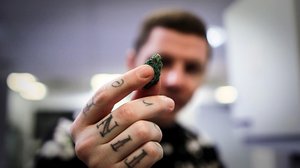 Professor Green: Totuus kannabiksesta (16) (16): 28.07.2019 22.00