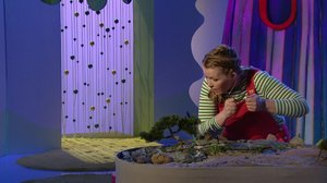 Yöllinen metsä: 01.08.2019 18.00