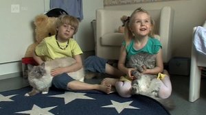 Lemmikkihoitajat Helsingistä: 02.08.2019 10.00