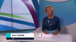 Yle Nyheter TV-nytt: 03.08.2019 18.00