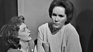 Kissat (S): 08.08.2019 00.01