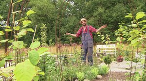 Puutarhakisa: 08.08.2019 18.30