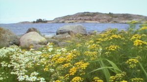 Saaristomerellä: 08.08.2019 00.01