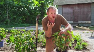 Puutarhakausi: 13.08.2019 18.30