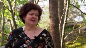 Pisara: 17.08.2019 15.10