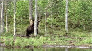 Karhu: 21.08.2019 07.15