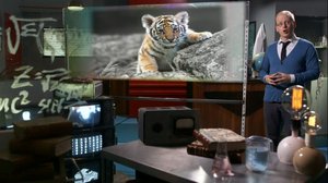 Ævar tutkii ja selvittää: 24.08.2019 10.30